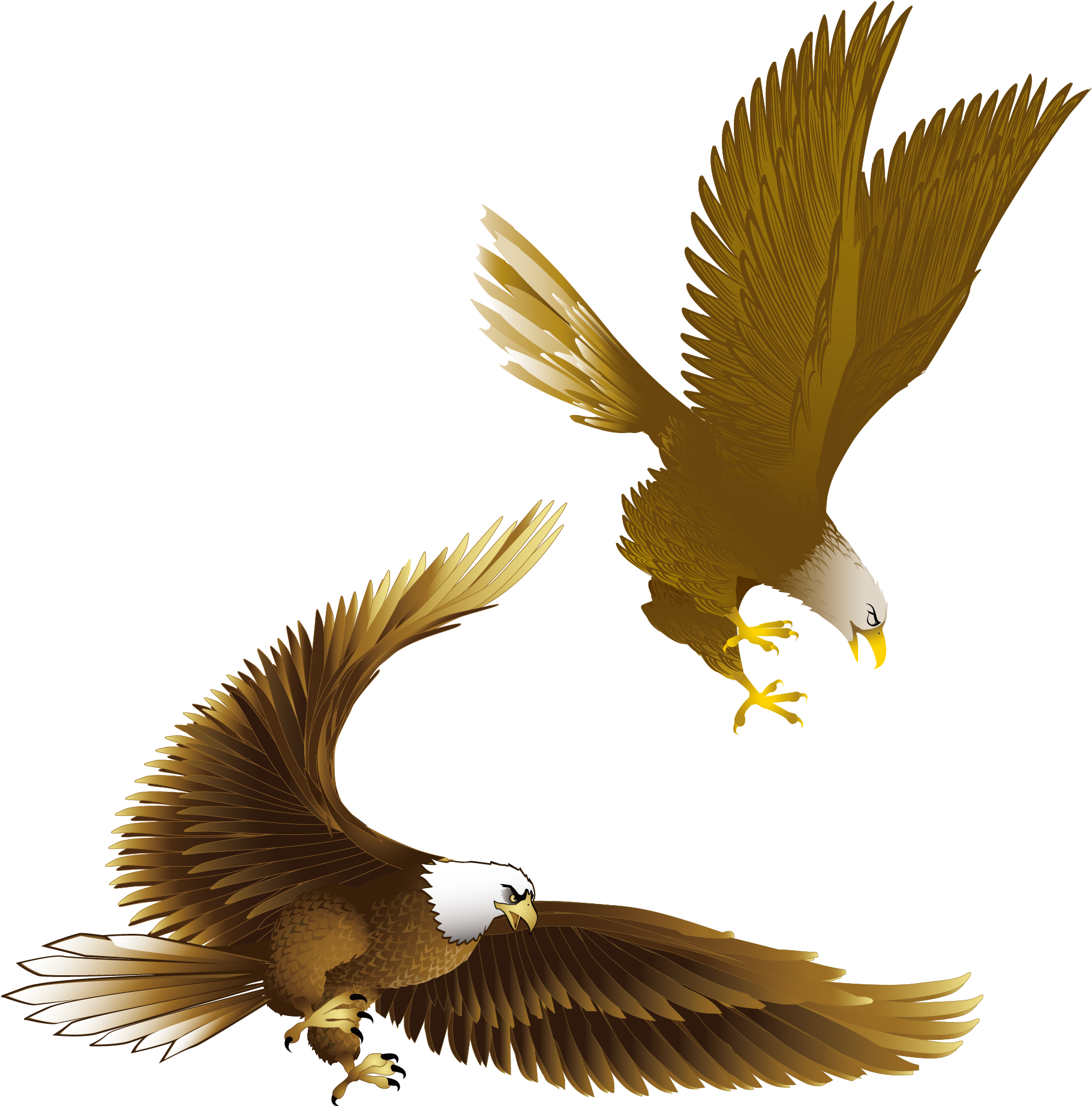 Drawn Bald Eagle Vector - Cafepress Eagle Everyday Pillow (2000x2000), Png Download