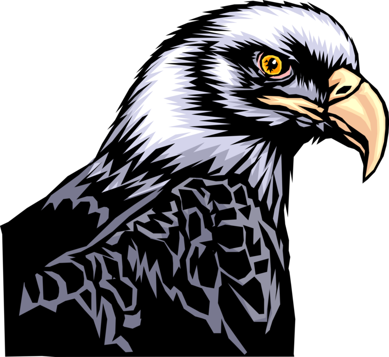Vector Illustration Of American Bald Eagle National - Beautiful Eagles Art (762x700), Png Download