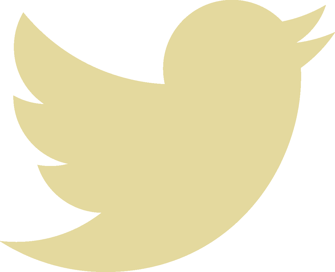 Twitter - ‹ - Twitter Bird Icon White (1139x926), Png Download