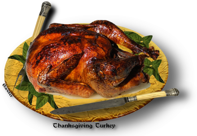 Black And White Download Http Www Thegutsygourmet Net - Turkey Meat (650x437), Png Download