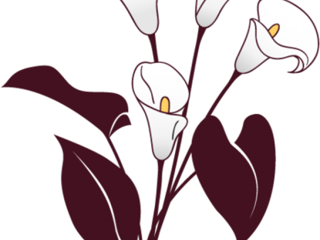 Jpg Download Free On Dumielauxepices Net Lily Funeral Clipart Full Size Png Download Seekpng