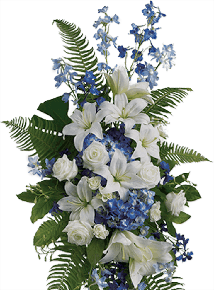 Royalty Free Download Fresh Photograph Of Where To - Funeral Flowers For A Man (730x990), Png Download