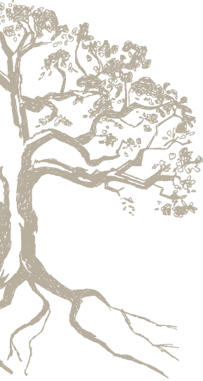 February Is The “magic Month” To Prune Roses In Texas, - Sketch (289x541), Png Download