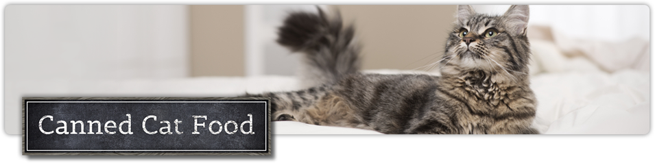 Canned Cat Food - Cat Food (955x238), Png Download