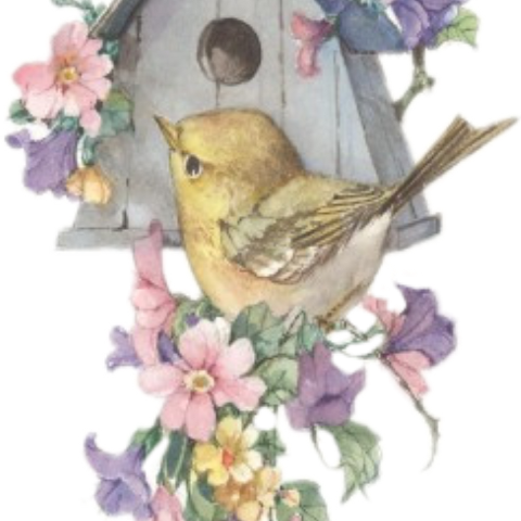 Winners - Birds Houses Clip Art (480x480), Png Download