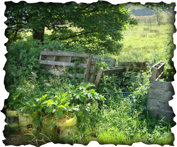 Picture - Sant Jarnail Singh Bhindranwale (608x506), Png Download