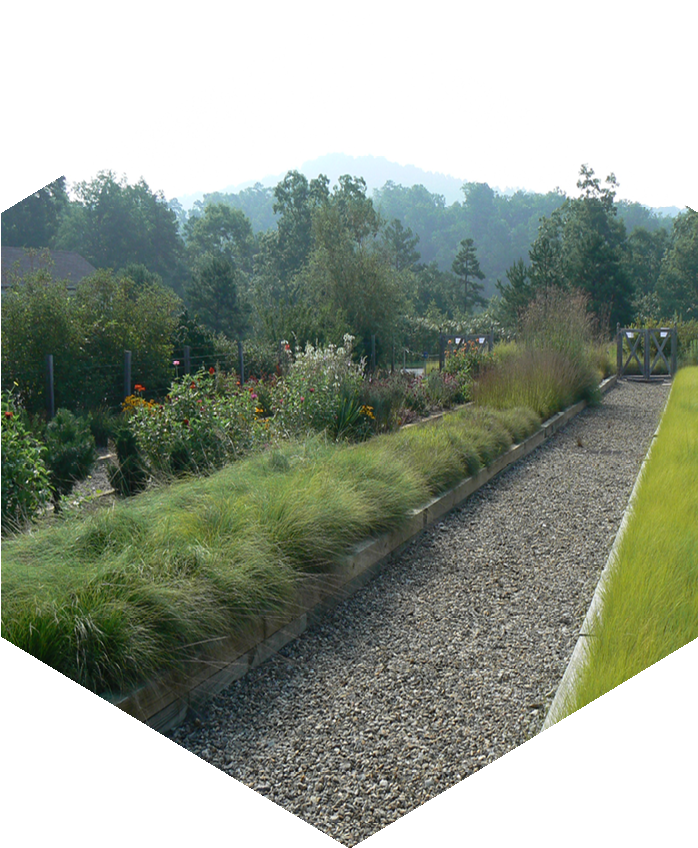 Ss Apps Horticulture1 Trans - Portable Network Graphics (900x900), Png Download