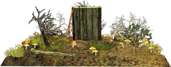 Grass (586x230), Png Download