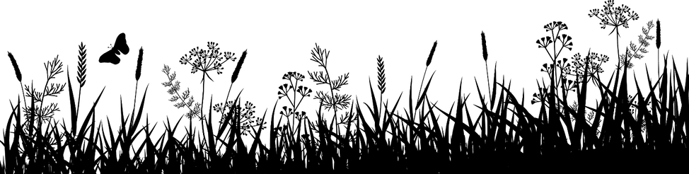 Vegetation Silhouette Png (974x246), Png Download