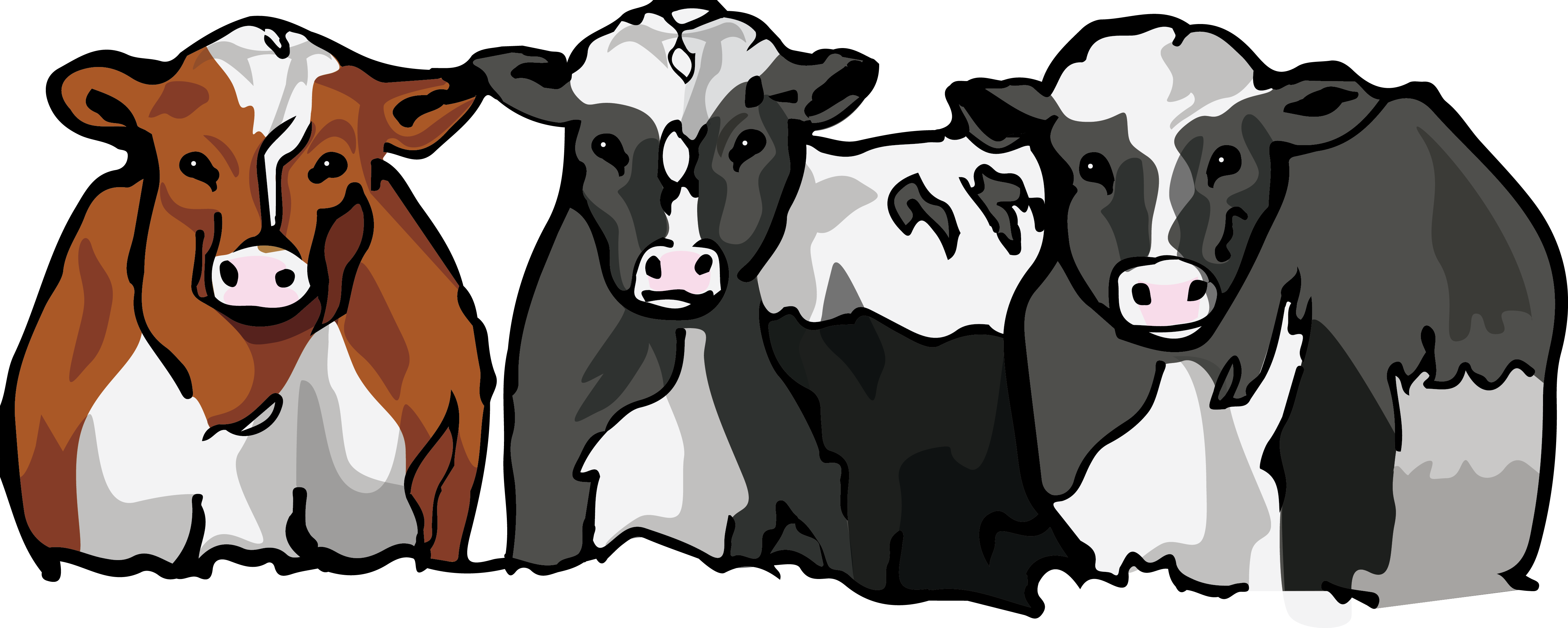 Cattle (4894x1960), Png Download