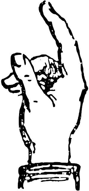 Hand Gesture, Alphabet, Deaf, Hand, Letter, Mute - Deaf Alphabet G (320x640), Png Download