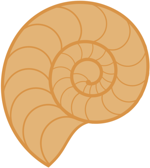 Related Wallpapers - Vector Shell (894x894), Png Download