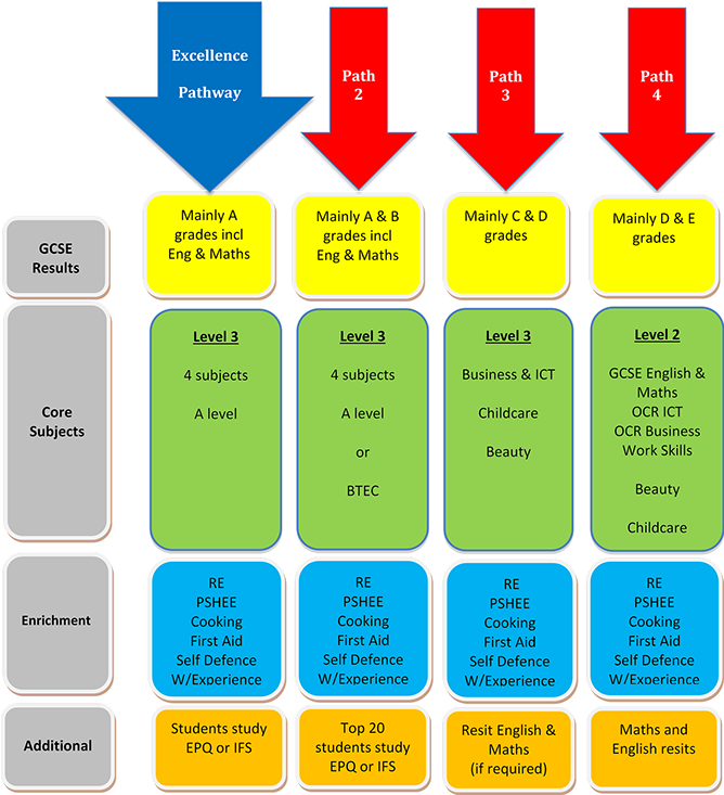 We Currently Offer 4 Progression Pathways That Support - Diagram (667x763), Png Download