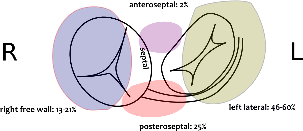 Pathway Prevalence - Cinematography (1230x727), Png Download