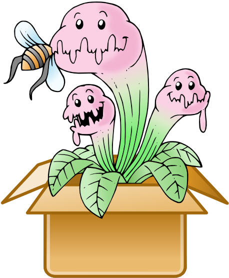 Venus Flytrap (640x640), Png Download