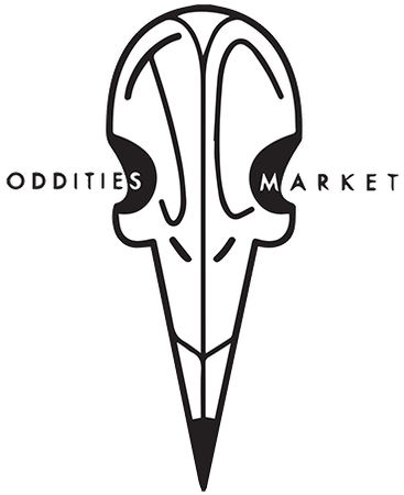 Formerly Hosted Via A Patreon Account, The Oddities - Jersey City (498x498), Png Download
