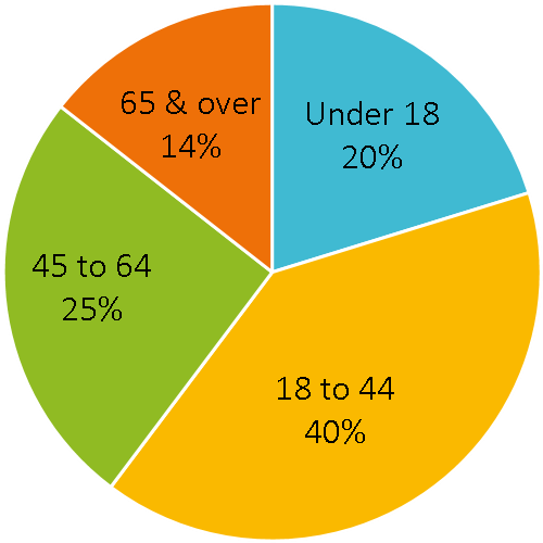 Bellevue Age Distribution, - Open Source Tripwire (570x538), Png Download