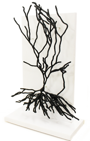 Visit The Neuron Shop - Sketch (302x470), Png Download