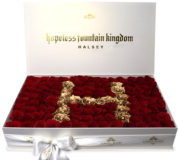 Earrings (498x332), Png Download