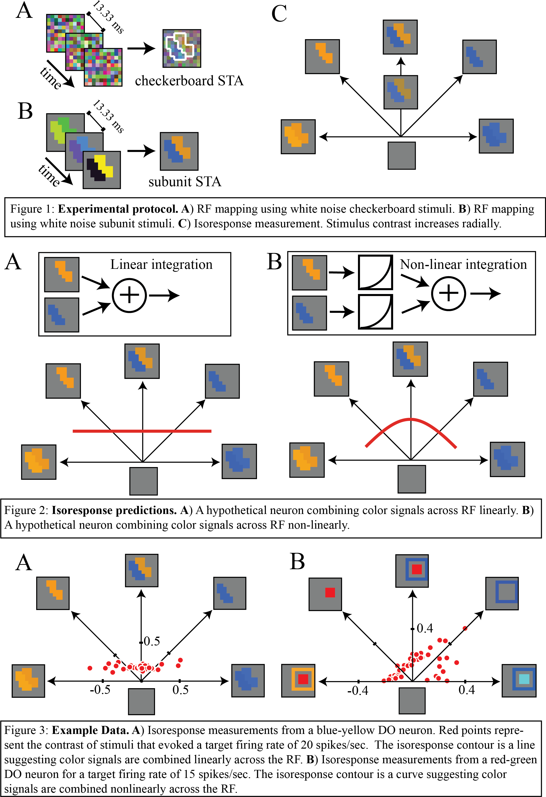 Our Lab Is Interested In Understanding How V1 Neurons - Neuron (2232x3271), Png Download