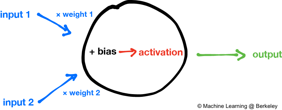 A Neuron Weights Its Inputs And Then Sums Them Up With - Neuron Ml (936x367), Png Download