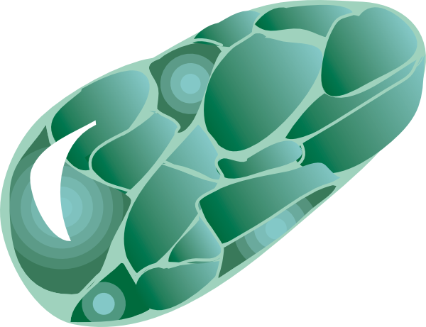 Stone Clip Art (600x461), Png Download