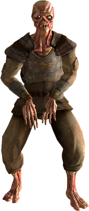 Feral Trooper Ghoul - Ghoul Trooper (300x700), Png Download