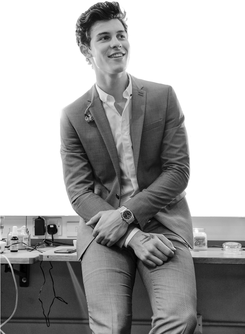 Shawn Mendes Fanblog - Shawn Mendes Transparent Png (540x756), Png Download