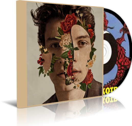 Shawn Mendes Album - Shawn Mendes Capa Do Novo Album (517x494), Png Download