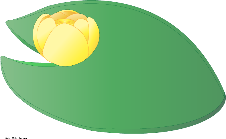 Download Bitmap Picture Yellow Water Lily - Water (822x567), Png Download