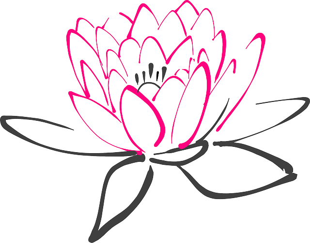 Water Lily - Spa Flower Clipart (640x503), Png Download