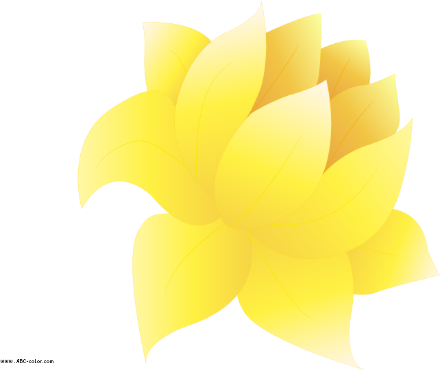 Download Bitmap Picture Water Lily - Sacred Lotus (822x567), Png Download