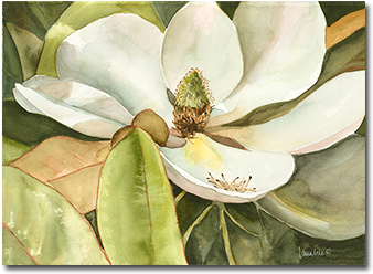 Watercolor Private Collection / Prints Available - Paint (350x400), Png Download