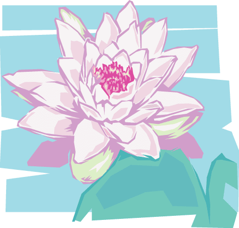Water Lily Vector - Water Lilies (473x451), Png Download