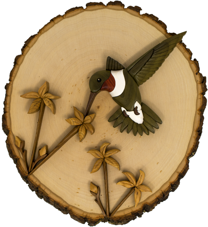 Related Posts - American Coot (1024x1024), Png Download