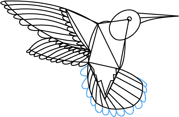How To Draw A Hummingbird - Drawing (678x600), Png Download