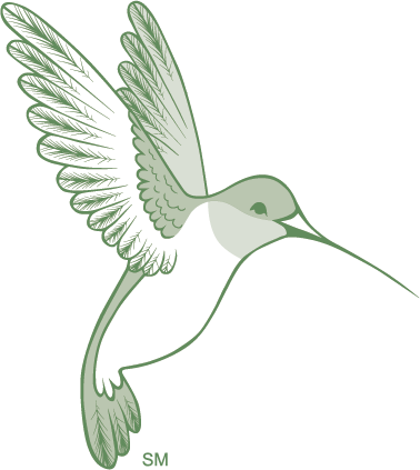 Pigeons And Doves (378x423), Png Download