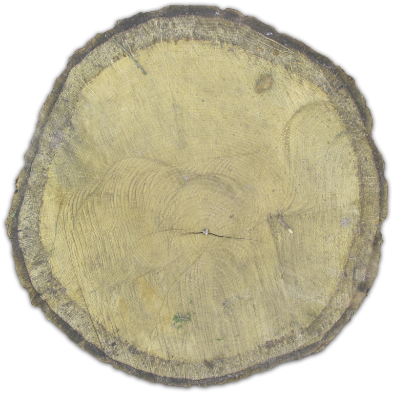 920k Stumpy Benwax 06 Feb 2009 - Lumber (790x767), Png Download