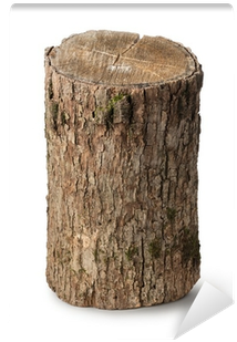 Tronco Vertical (400x400), Png Download