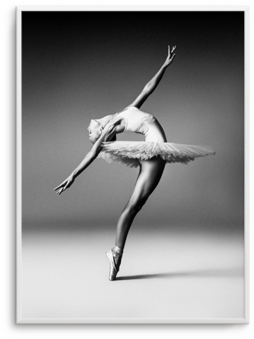 Ballerina No 2 Ballerina No - Ballet Dancer (476x600), Png Download