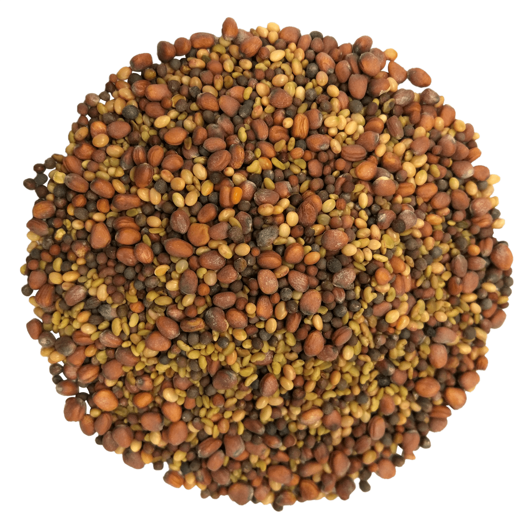 Salad Mix Of Sprouting Seeds Without Bag - Sprouting (1687x1687), Png Download