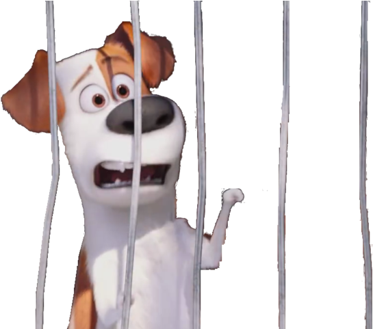 Max And Duke Cage Beta - Companion Dog (639x480), Png Download