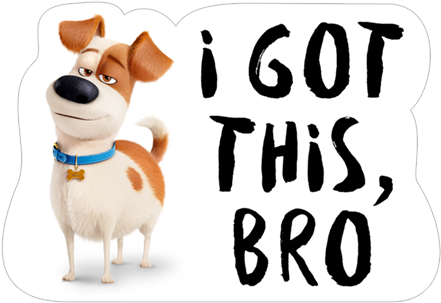 Viber Sticker «secret Life Of Pets» - Zapatos Tejidos Para Perros (490x317), Png Download