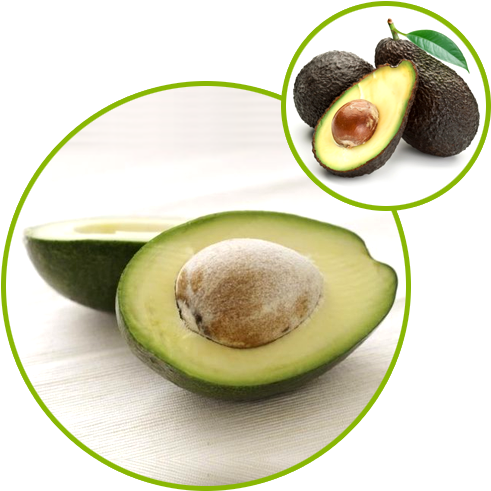 Avocado Soybean Unsaponifiables - Lemon And Dogs Health (500x500), Png Download