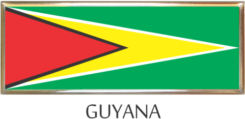 Guyana Metal Car Badge - Triangle (480x480), Png Download