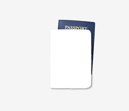 Succulent - Wallet (500x431), Png Download