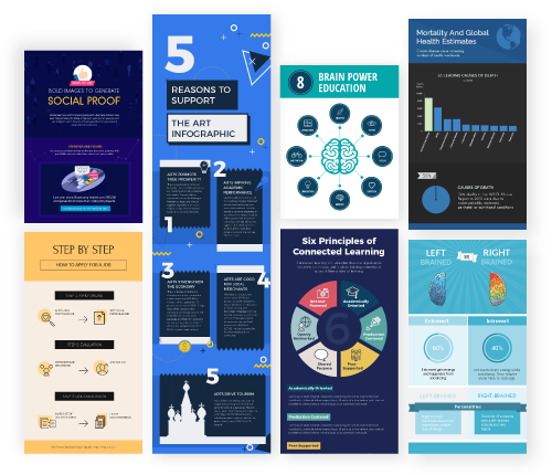Make Free Infographics Reports Charts Online Visme - Graphic Design (500x430), Png Download