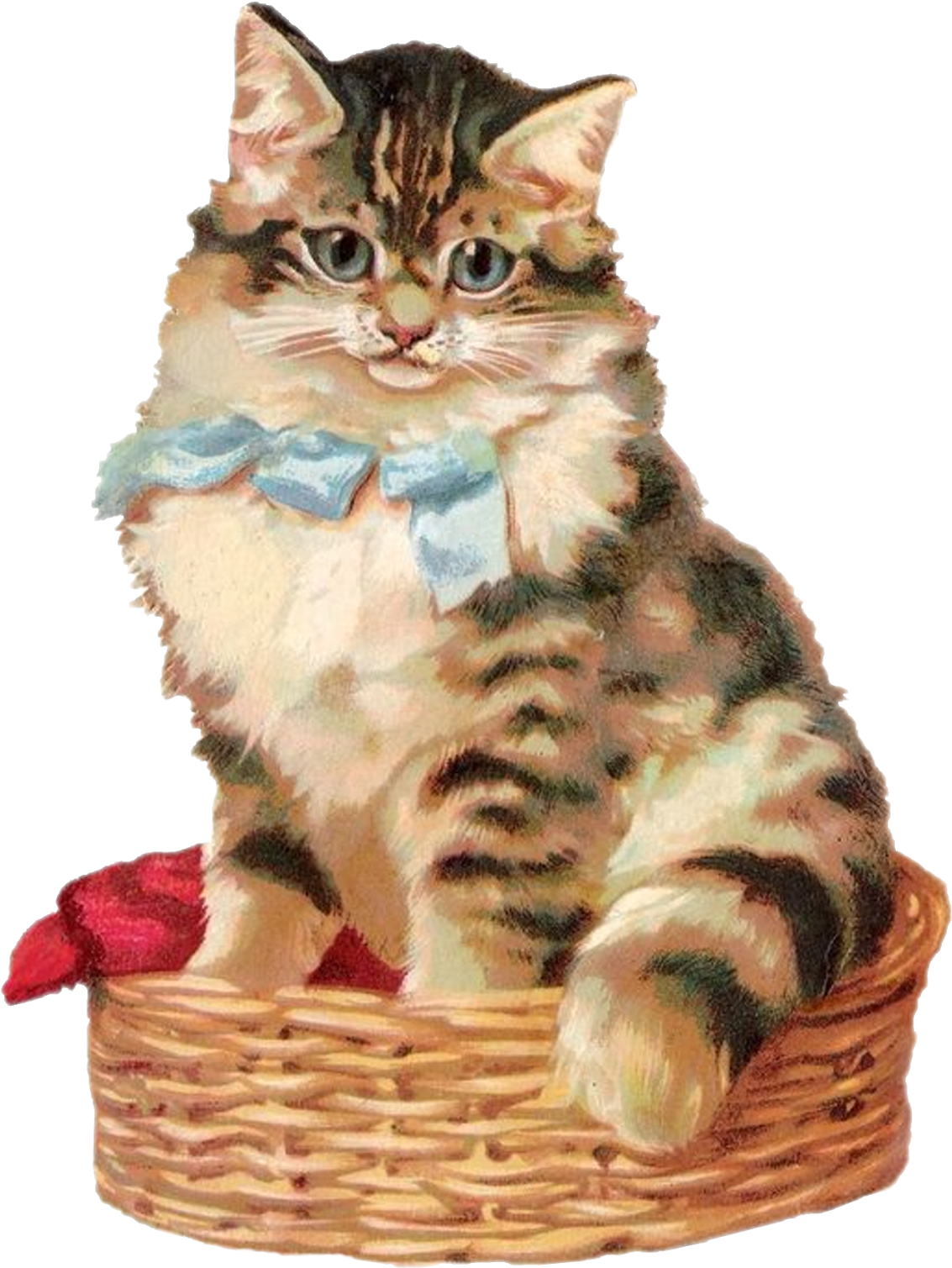 Cat In A Basket - Kitten (1214x1600), Png Download