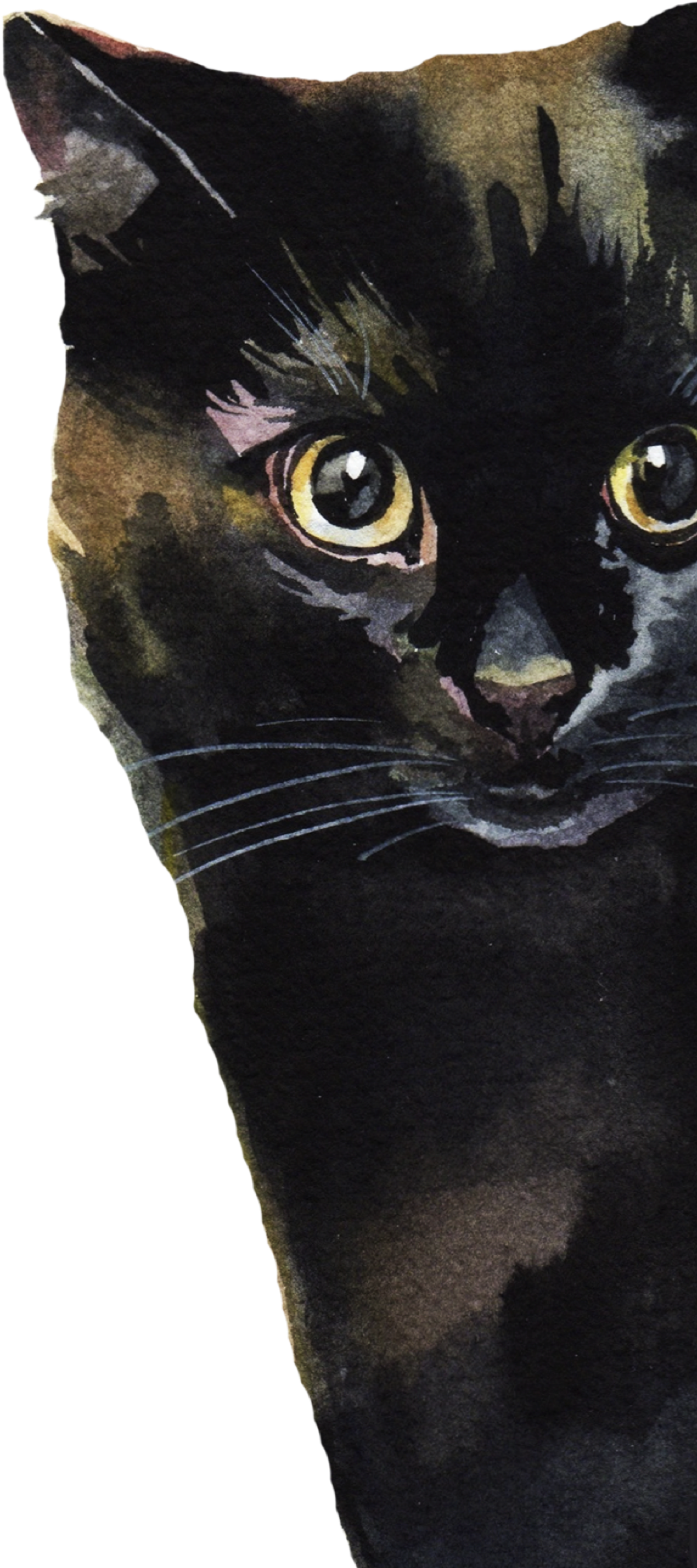 Filterblack Cat Creeping - Black Cat (4096x7280), Png Download