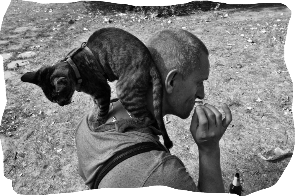 Why We Should Care About The Homeless - Cat Yawns (1000x667), Png Download